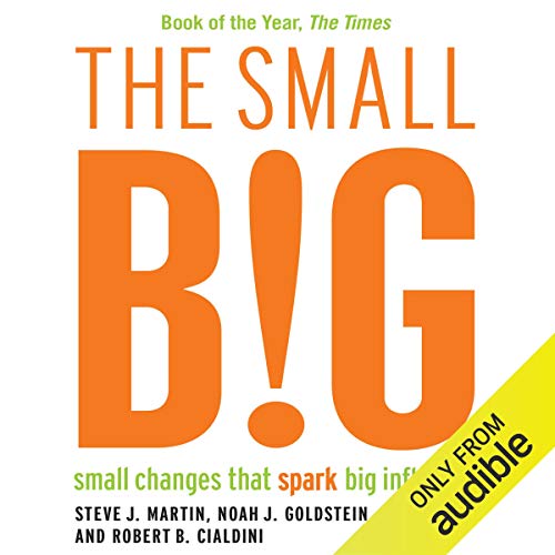 Cover of The Small BIG