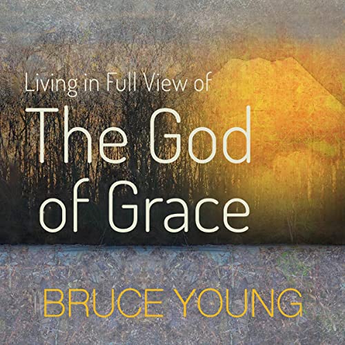 Cover of Living in Full View of the God of Grace