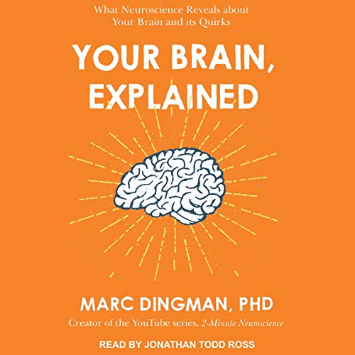 Cover of Your Brain, Explained