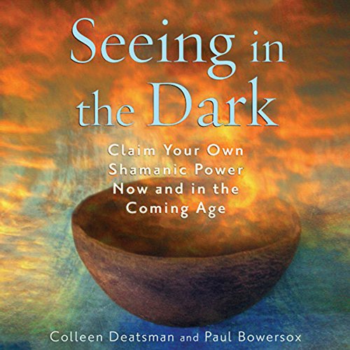 Cover of Seeing in the Dark