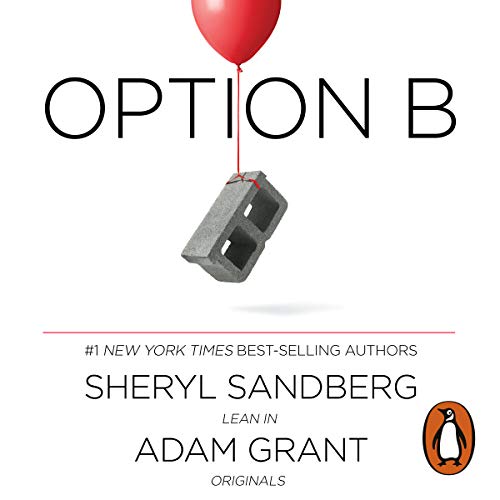 Cover of Option B