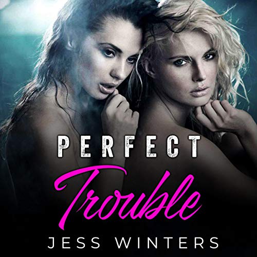 Cover of Perfect Trouble