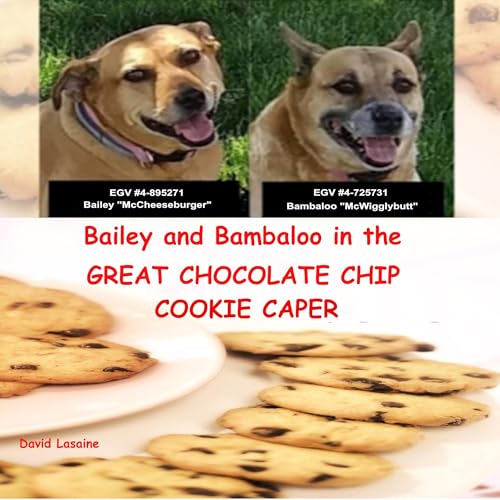Cover of Bailey and Bambaloo in the Great Chocolate Chip Cookie Caper