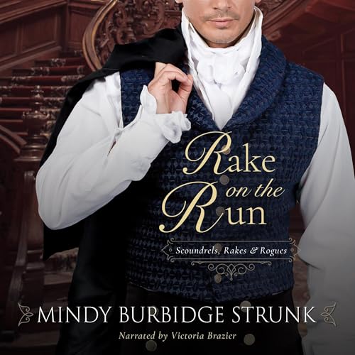 Cover of Rake on the Run