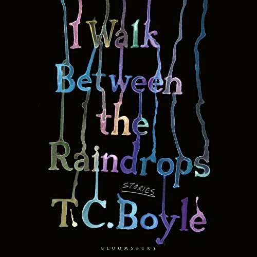 Cover of I Walk Between the Raindrops