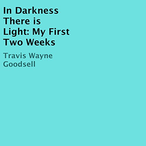 Cover of In Darkness There Is Light