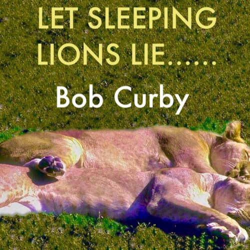 Cover of Let Sleeping Lions Lie....