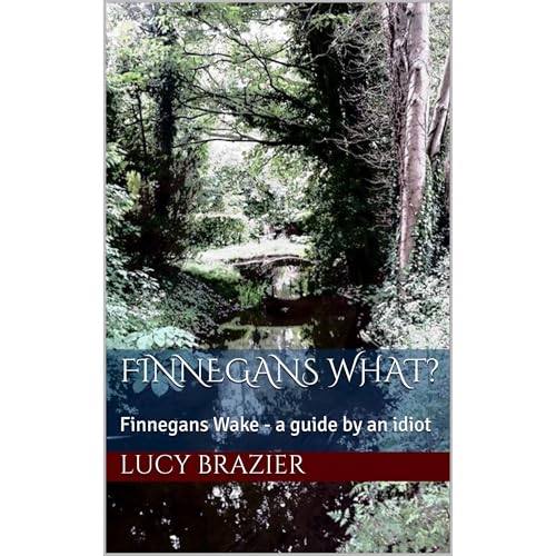 Cover of Finnegans What?