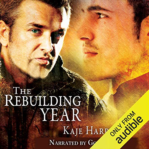 Cover of The Rebuilding Year