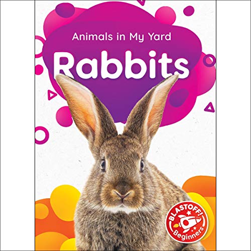 Cover of Rabbits