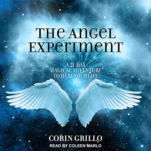 Cover of The Angel Experiment