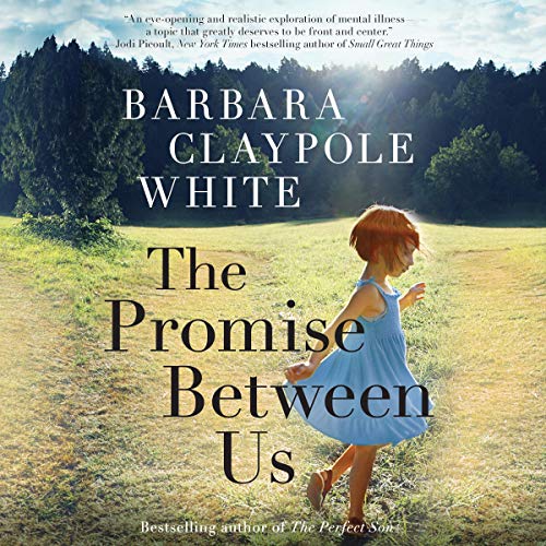 Cover of The Promise Between Us