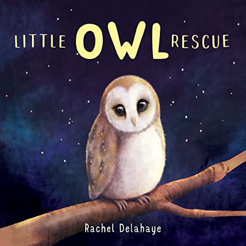 Cover of Little Owl Rescue