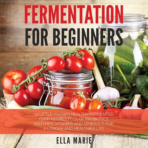 Cover of Fermentation for Beginners
