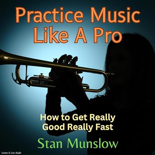 Cover of Practice Music Like a Pro