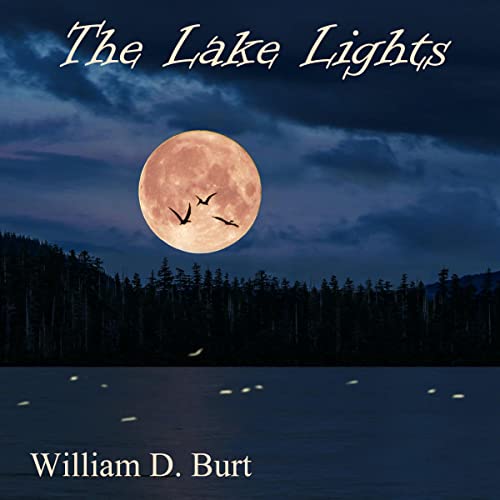 Cover of The Lake Lights