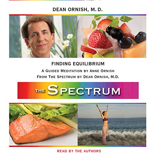 Cover of Finding Equilibrium