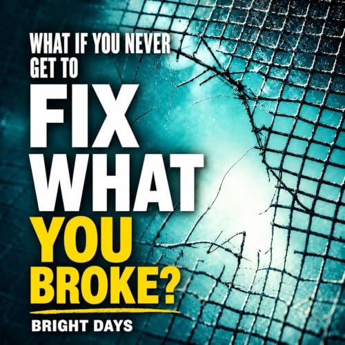 Cover of What If You Never Get to Fix What You Broke?