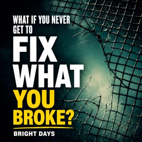 Cover of What If You Never Get to Fix What You Broke?