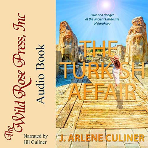 Cover of The Turkish Affair