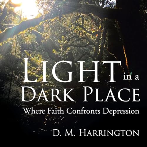 Cover of Light in a Dark Place