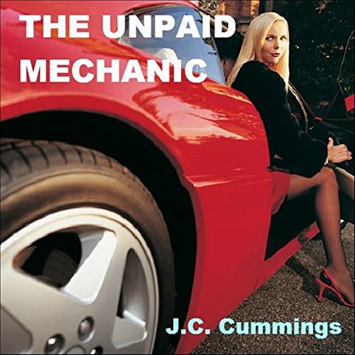 Cover of The Unpaid Mechanic