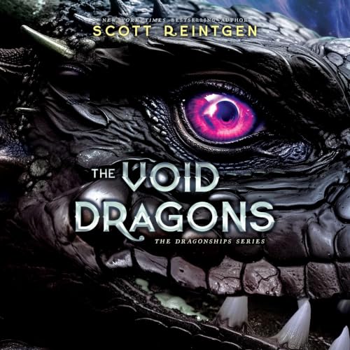 Cover of The Void Dragons