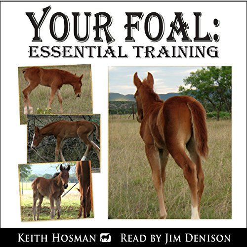 Cover of Your Foal