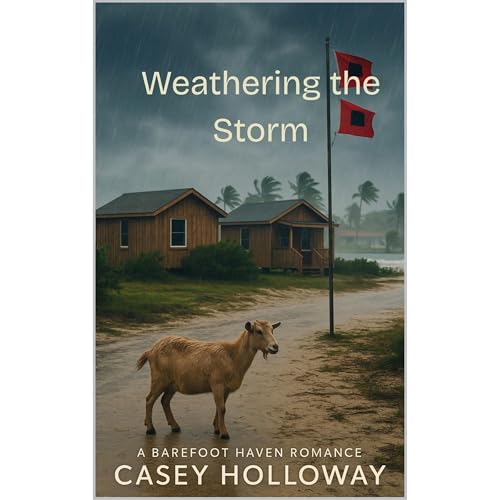 Cover of Weathering the Storm