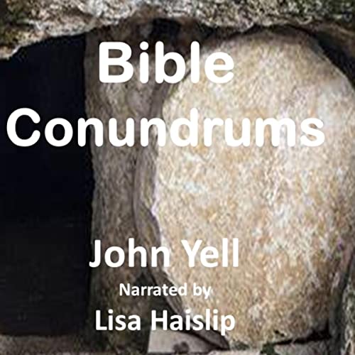 Cover of Bible Conundrums