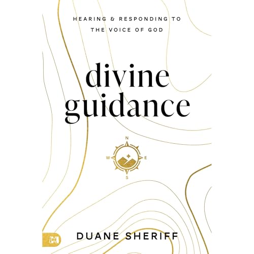 Cover of Divine Guidance