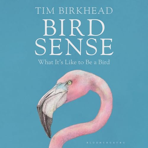 Cover of Bird Sense