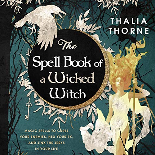 Cover of The Spell Book of a Wicked Witch
