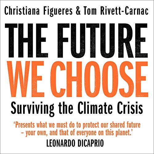 Cover of The Future We Choose