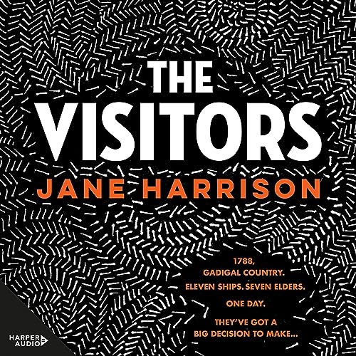 Cover of The Visitors