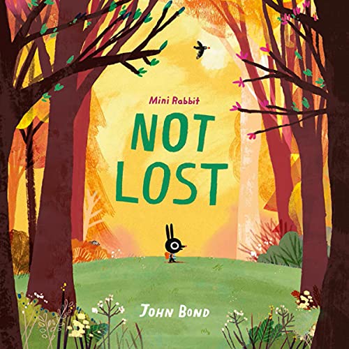 Cover of Mini Rabbit Not Lost