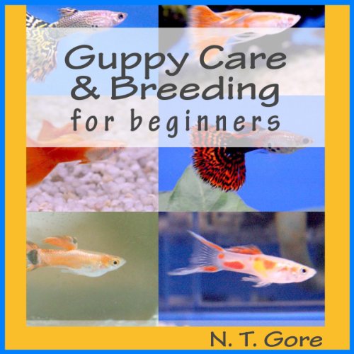 Cover of Guppy Care & Breeding for Beginners