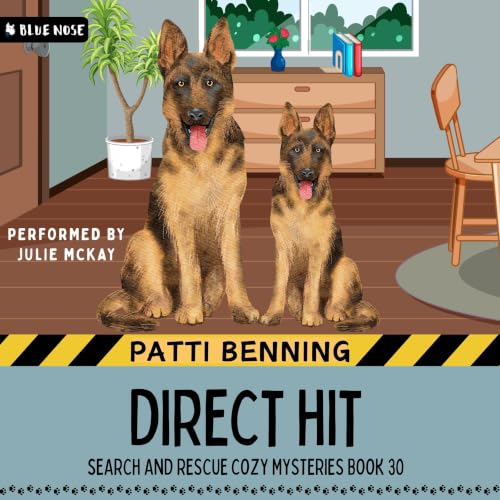 Cover of Direct Hit