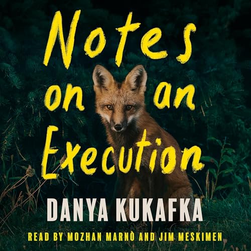 Cover of Notes on an Execution