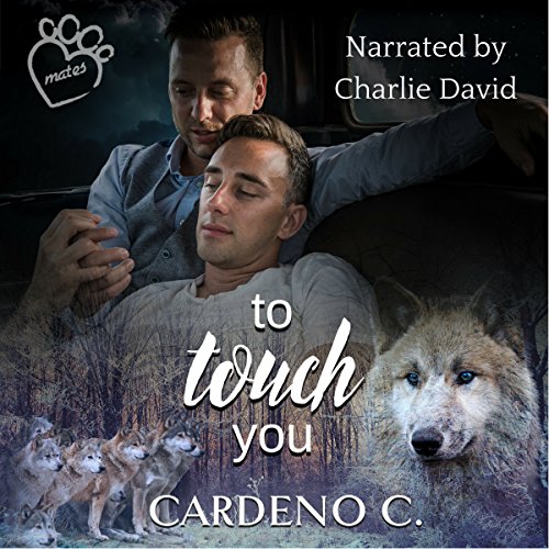 Cover of To Touch You