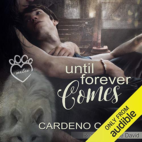 Cover of Until Forever Comes