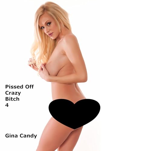 Cover of Pissed Off Crazy Bitch 4
