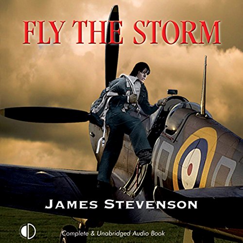 Cover of Fly The Storm