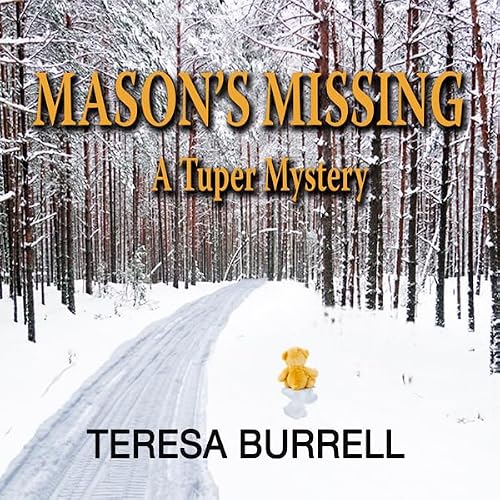 Cover of Mason's Missing