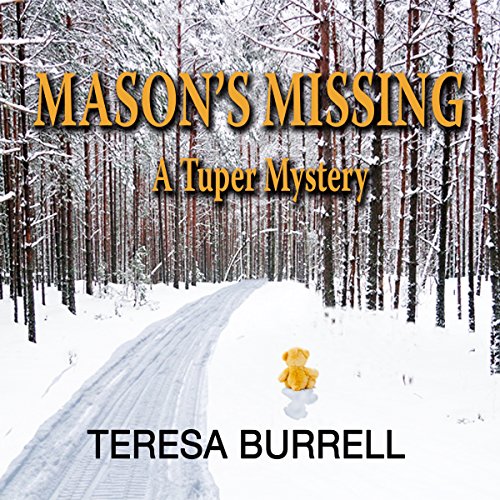 Cover of Mason's Missing