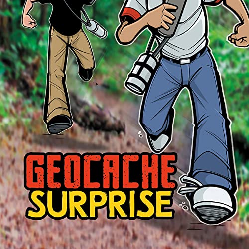 Cover of Geocache Surprise