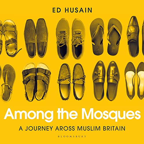Cover of Among the Mosques