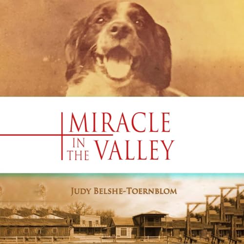 Cover of Miracle in the Valley