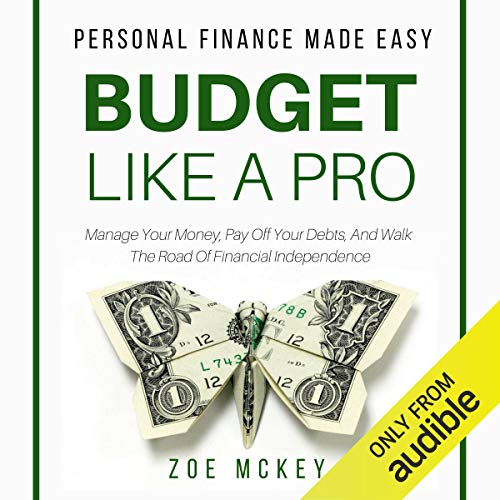 Cover of Budget like a Pro