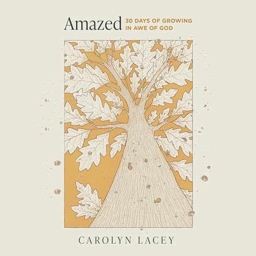 Cover of Amazed